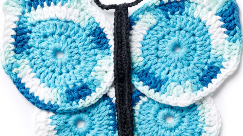 Butterfly Crochet Dishcloth Pattern